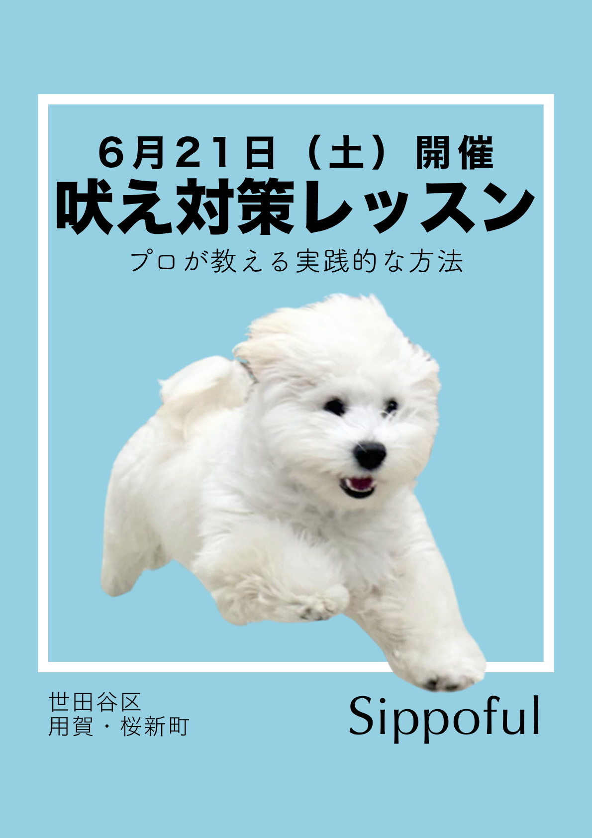 6月イベント
