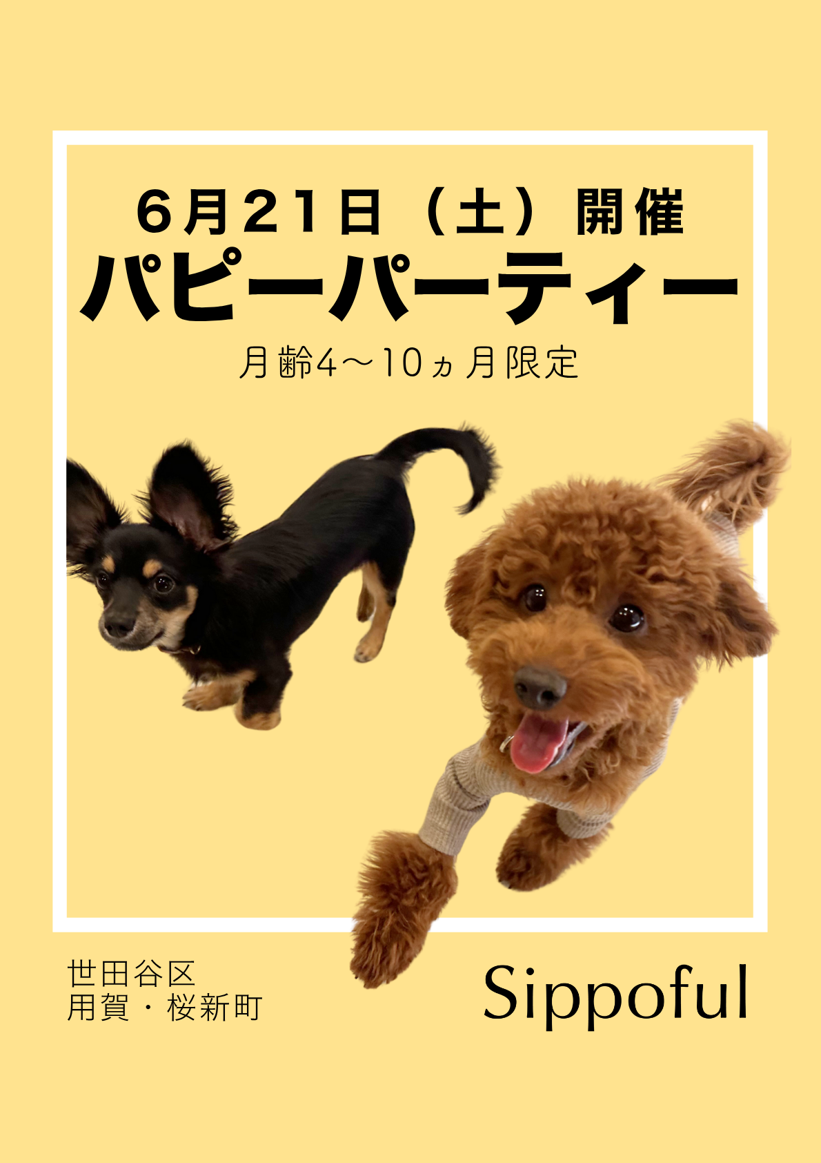 6月イベント